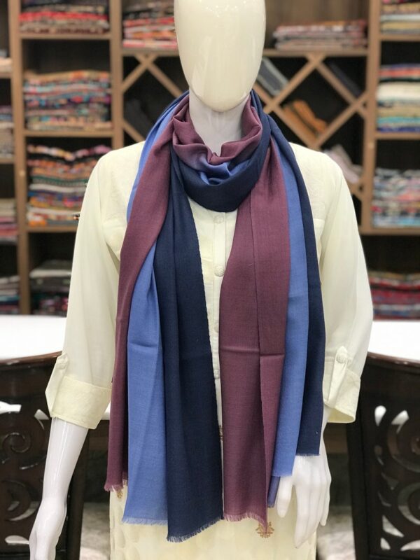 Pure Pashmina Ombre Stole