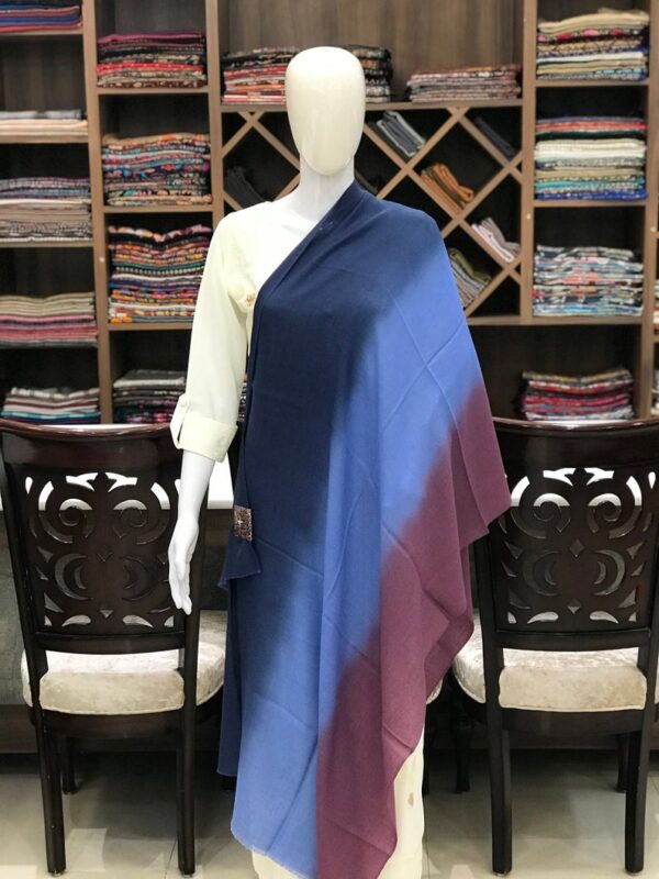 Pure Pashmina Ombre Stole