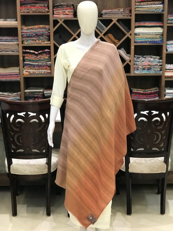 Pure Pashmina Ombre Stole