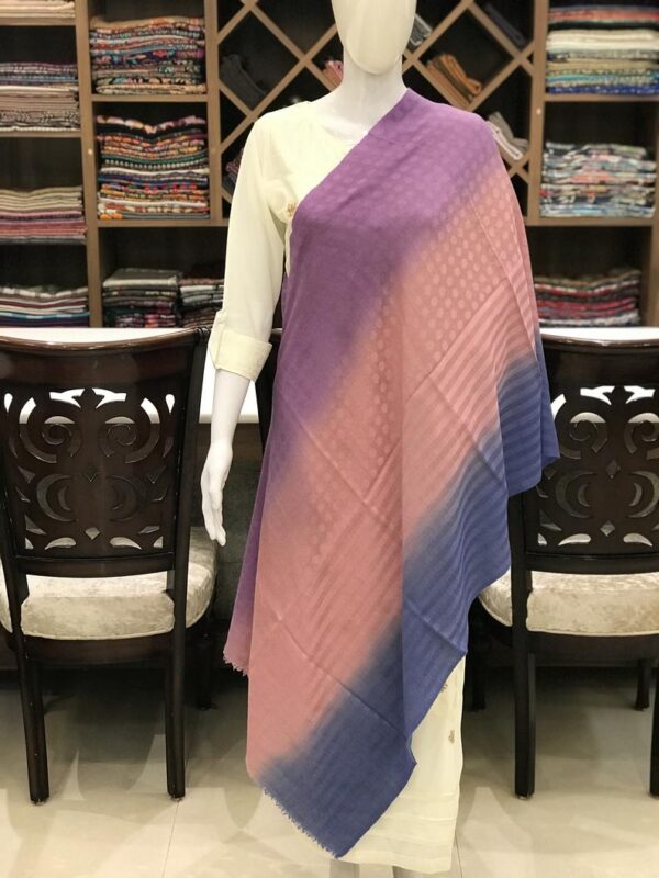 Pure Pashmina Ombre Stole