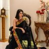 Black Kashmiri Border Embroidery Saree hover