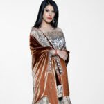 Silk Velvet Brown Ombre Cape with Kashmiri Tilla Work close up
