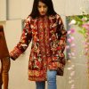 Maroon Floral Embroidered Jacket with Hand Cut Daana Highlighting