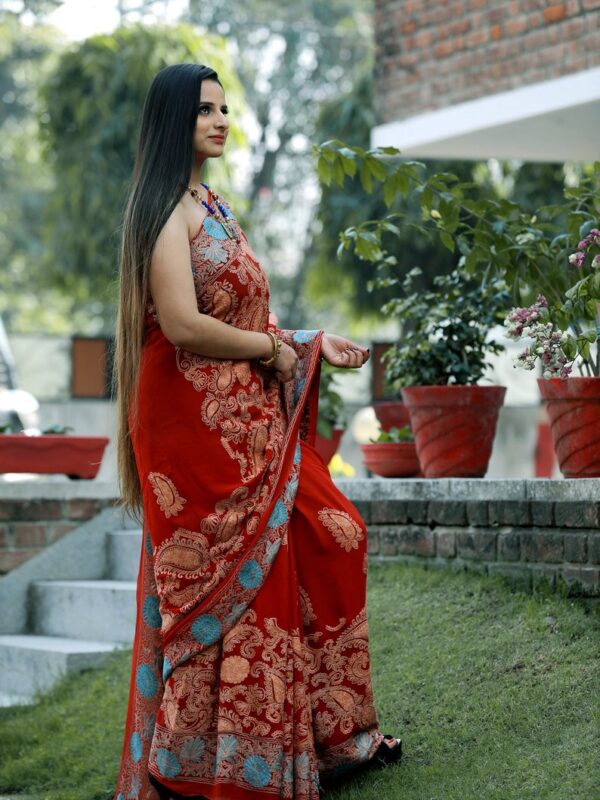 Red Georgette Kashmiri Saree with Paisley Jaal Embroidery side view