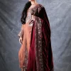 Sandy Brown Gloss Velvet Royal Kashmiri Suit with Tilla Embroidery Side