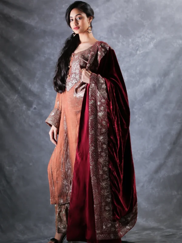 Sandy Brown Gloss Velvet Royal Kashmiri Suit with Tilla Embroidery Side