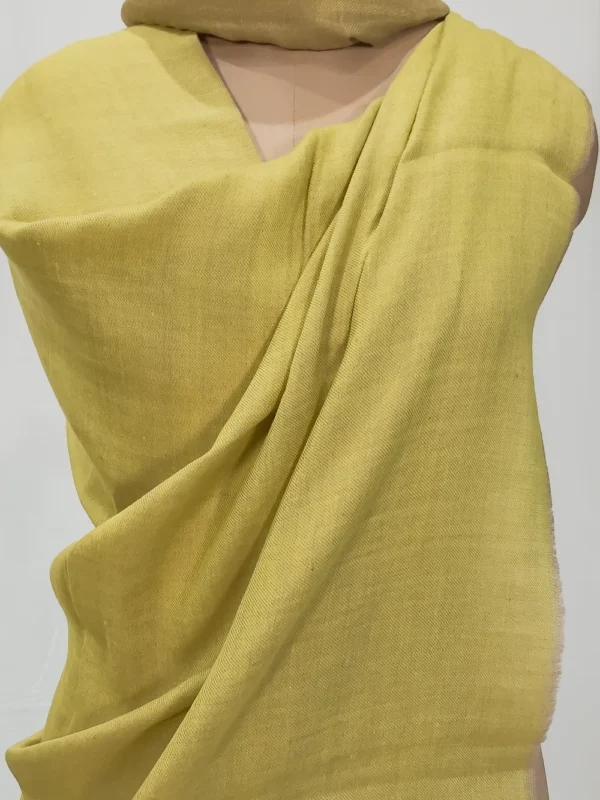 Green and Moss Green Pure Pashmina and Zari Wooven Shawl Front