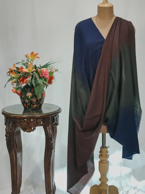 Blue, Brown and Green Pure Pashmina Textured Ombre Shawl