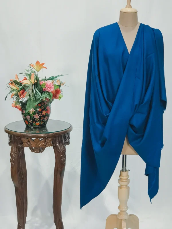 Nighttime Blue Pure Pashmina Shawl