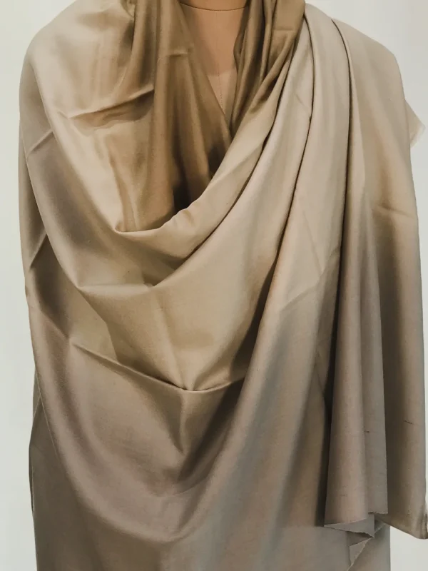 Grey, Light Brown and Light Fawn Pure Pashmina Ombre Shawl Front
