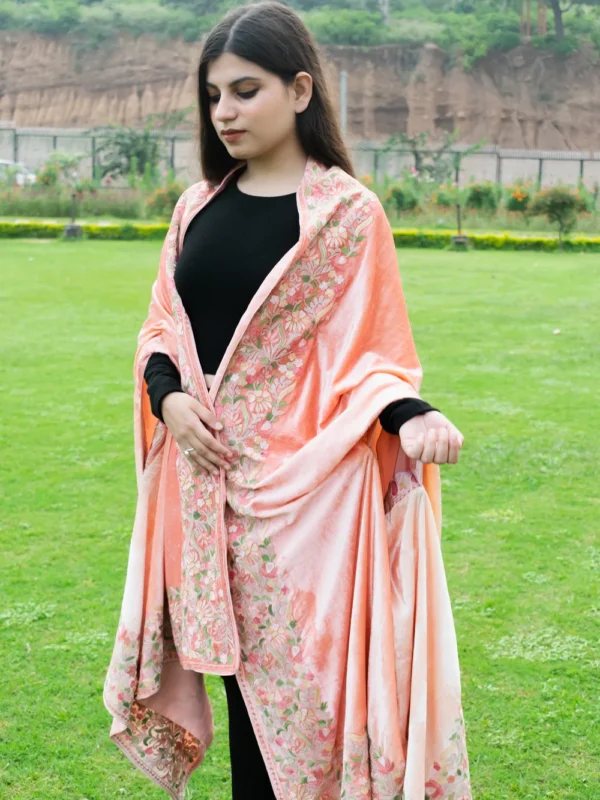 Gloss Velvet Ombre Cape with Aari Work: Peach and Fawn