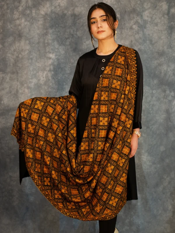Black Pure Pashmina Shawl With Sozni hand Embroidery Front