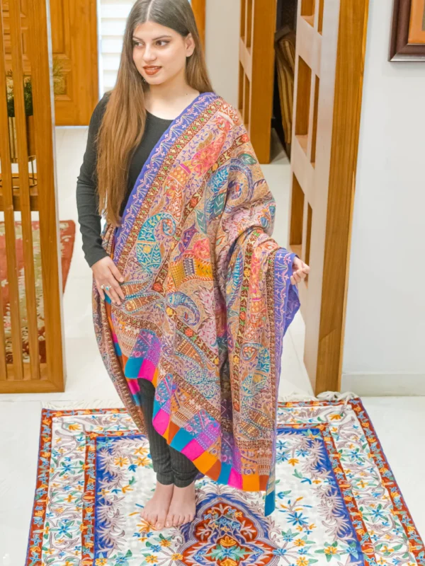 Multi Coloured Pure Pashmina Shawl With Artistic Kalamkari Hand Embroidery Hand Paint