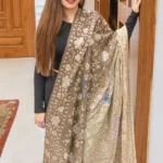 Olive Green Pure Pashmina Ombrey Shawl With Tilla Jaal Hand Embroidery