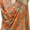 Beige Pure Wool Shawl with Sozni Machine Jama Embroidery front