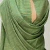 Beige and Green Space Dye Pure Pashmina Shawl front