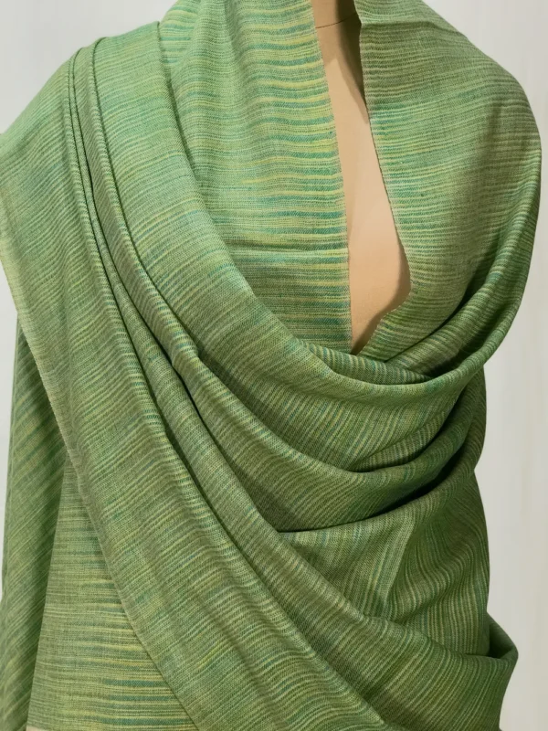 Beige and Green Space Dye Pure Pashmina Shawl front