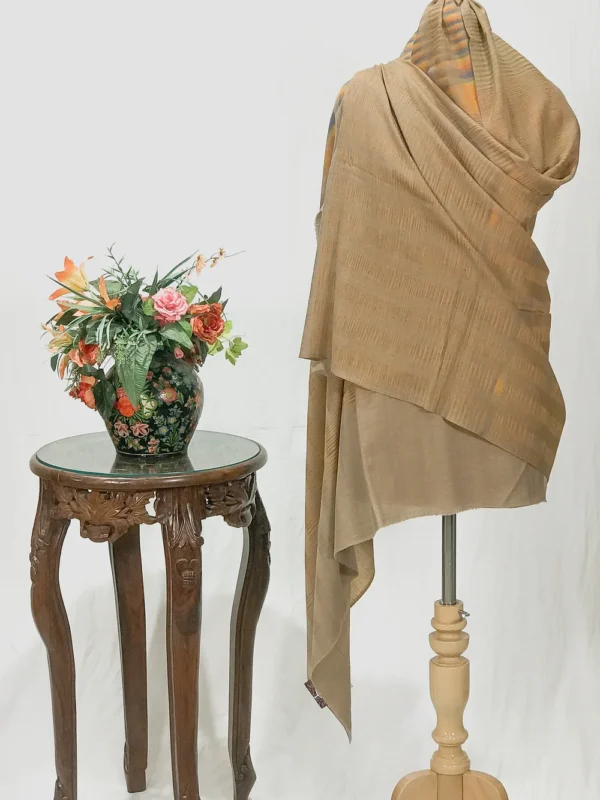 Beige Base and Multi-Colour Space Dye Pure Pashmina Shawl