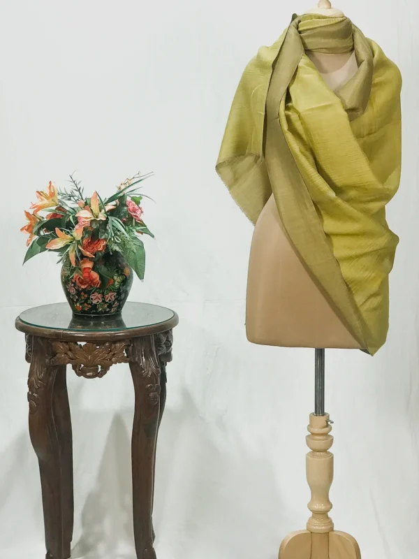 Zari Reversible Pine Green Pure Pashmina Shawl