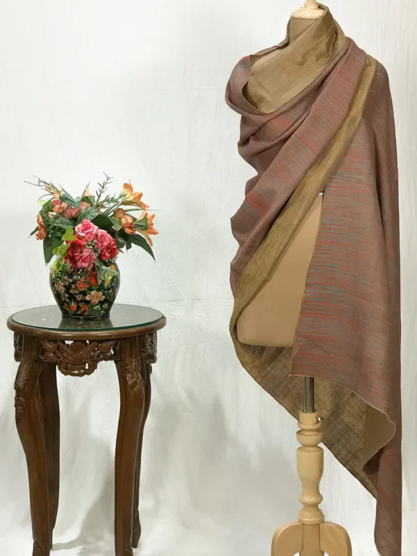Zari Reversible Space Dye Multi-Colour Pure Pashmina Shawl