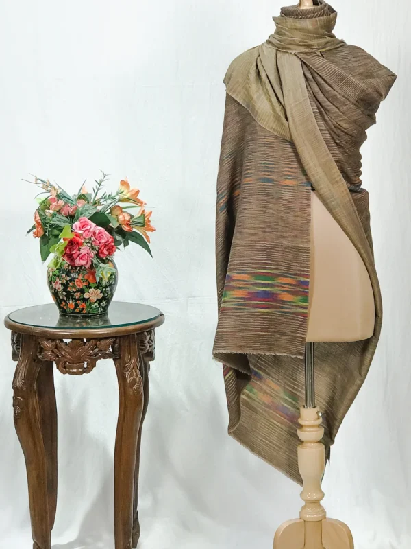 Multi-Colour Space Dye Zari Reversible Pure Pashmina Shawl