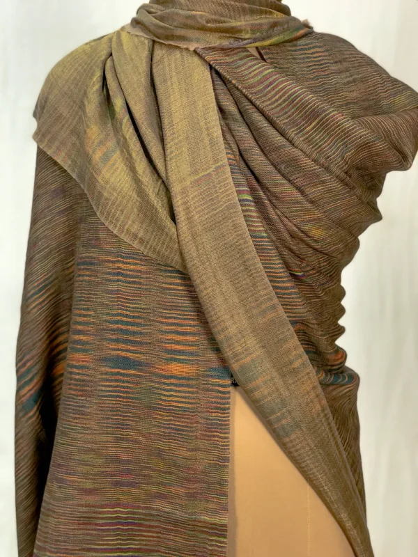 Multi-Colour Space Dye Zari Reversible Pure Pashmina Shawl front