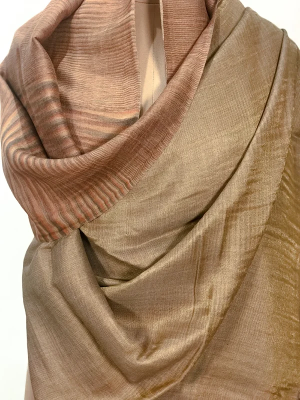 Space Dye Zari Reversible Pure Pashmina Shawl (Shades of Brown) front