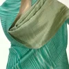 Green and Beige Space Dye Zari Reversible Pure Pashmina Shawl front