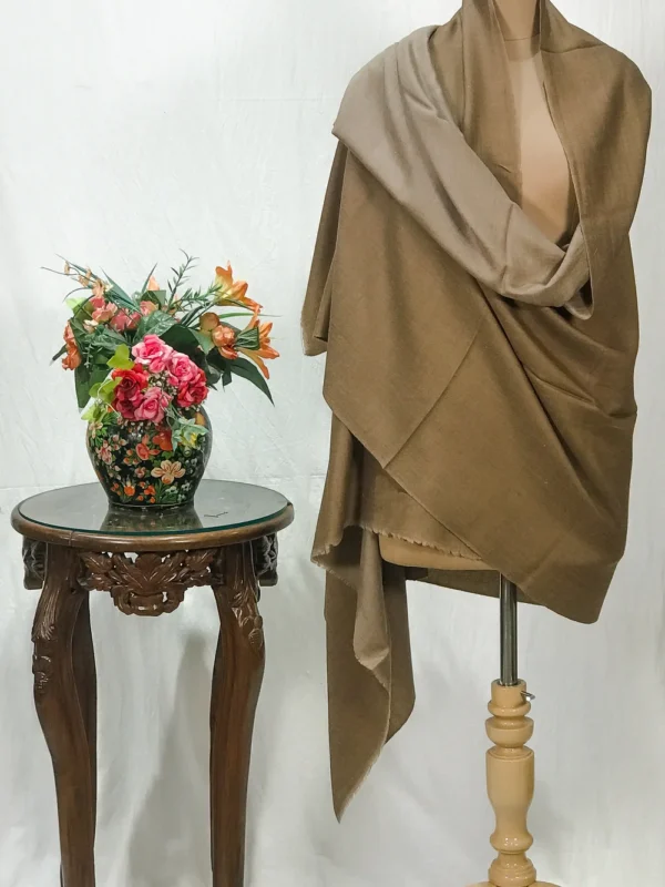 Beige and Dark Beige Reversible Pure Pashmina Shawl