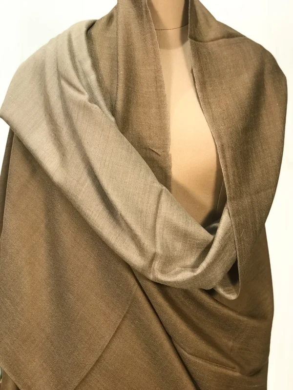 Beige and Dark Beige Reversible Pure Pashmina Shawl front