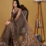 Organza Saree with Kashmiri Aari Embroidery
