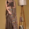 Organza Saree with Kashmiri Aari Embroidery