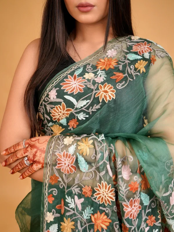 Organza Saree with Kashmiri Aari Embroidery