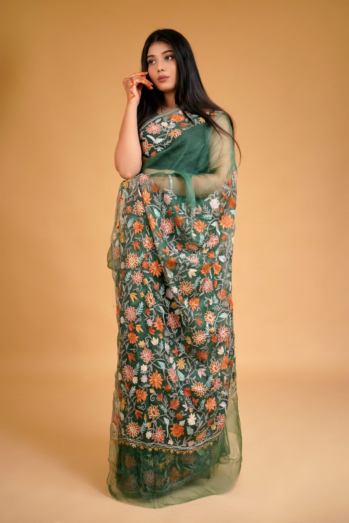 Organza Saree with Kashmiri Aari Embroidery
