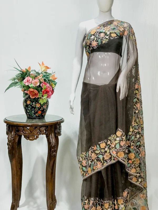 Brown Organza Sari with Kashmiri Aari Embroidery front