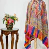 Multi-Colour Pure Pashmina Shawl with Kalamkari Hand Embroidery