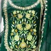 Bottle Green Kashmiri Aari and Zari Embroidered Salwar Suit front