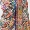 Multi-Colour Pure Pashmina Shawl with Kalamkari Hand Embroidery Hand Paint Front