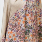Natural Beige Pure Pashmina Shawl with Kalamkari Hand Embroidery Hand Paint front