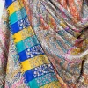 Multi-Colour Pure Pashmina Shawl with Kalamkari Hand Embroidery Hand Paint front