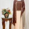 Beige and Brown Kashmiri Salwar Suit with Aari Embroidery